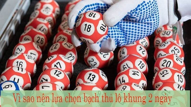 Vì sao nên nuôi bạch thủ lô khung 2 ngày