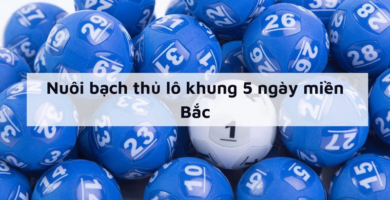 Lý do anh em nên chơi bạch thủ lô khung 5 ngày