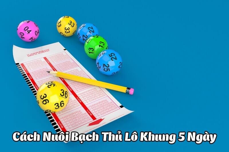 Cách soi cầu bạch thủ lô khung 5 ngày