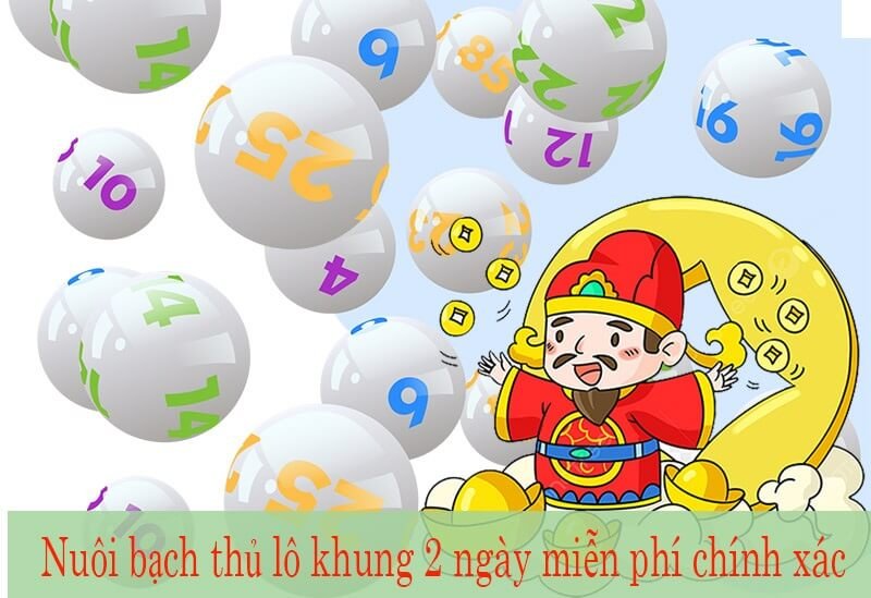 Cách nuôi bạch thủ lô khung 2 ngày chuẩn xác nhất