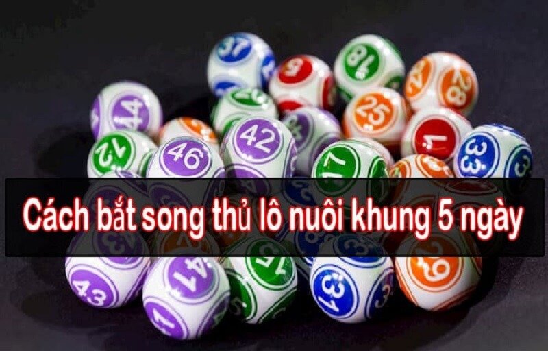 Nuôi lô song thủ khung 5 ngày 