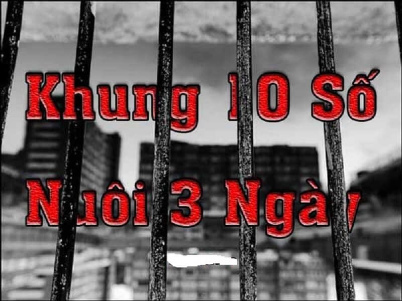 Cách nuôi dàn đề 10 số khung 3 ngày