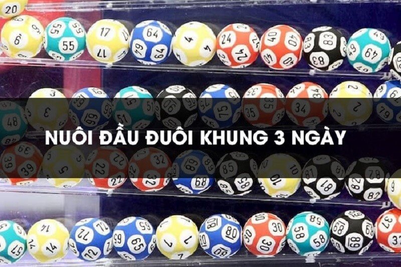 Cách nuôi dàn đề đầu đuôi khung 3 ngày