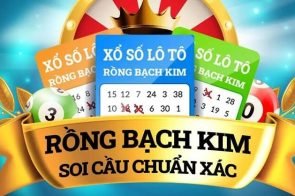 Caothusoicau – Soi Cầu Rồng Bạch Kim Chốt Số Hôm Nay