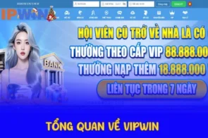 Tìm Hiểu Tại Sao Nên Tham Gia Các Trò Chơi Tại Vipwin?