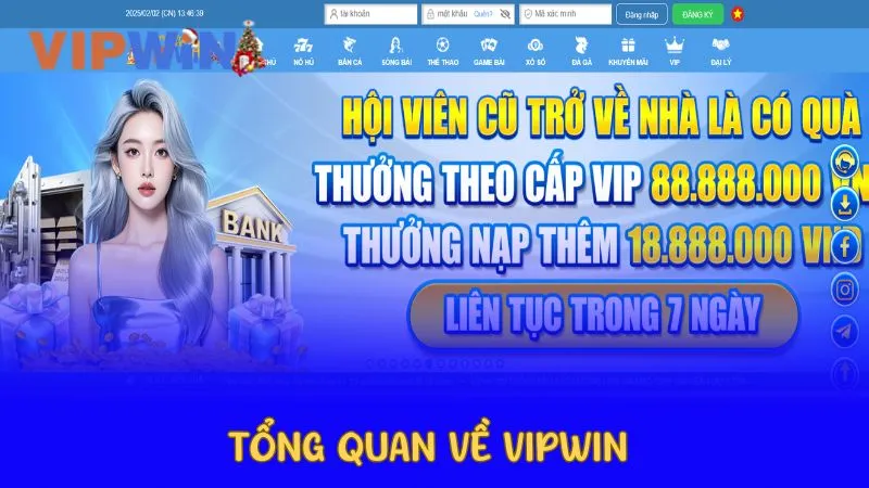 Tổng quan về Vipwin