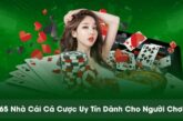 Hướng Dẫn Đăng Nhập Nhà Cái Ok365 An Toàn – Bảo Vệ Thông Tin Cá Nhân
