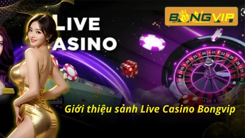 Tổng quan về sòng casino livestream BongVip
