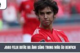 Tiểu Sử Joao Felix – Tài Năng Sớm Nở Nhưng Chóng Tàn