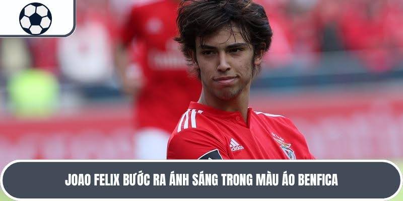 Benfica là câu lạc bộ chuyên nghiệp đầu tiên của Joao Felix