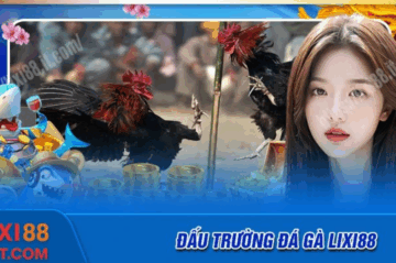 Đá gà Lixi88 – Đấu trường kịch liệt cho mọi tín đồ đam mê