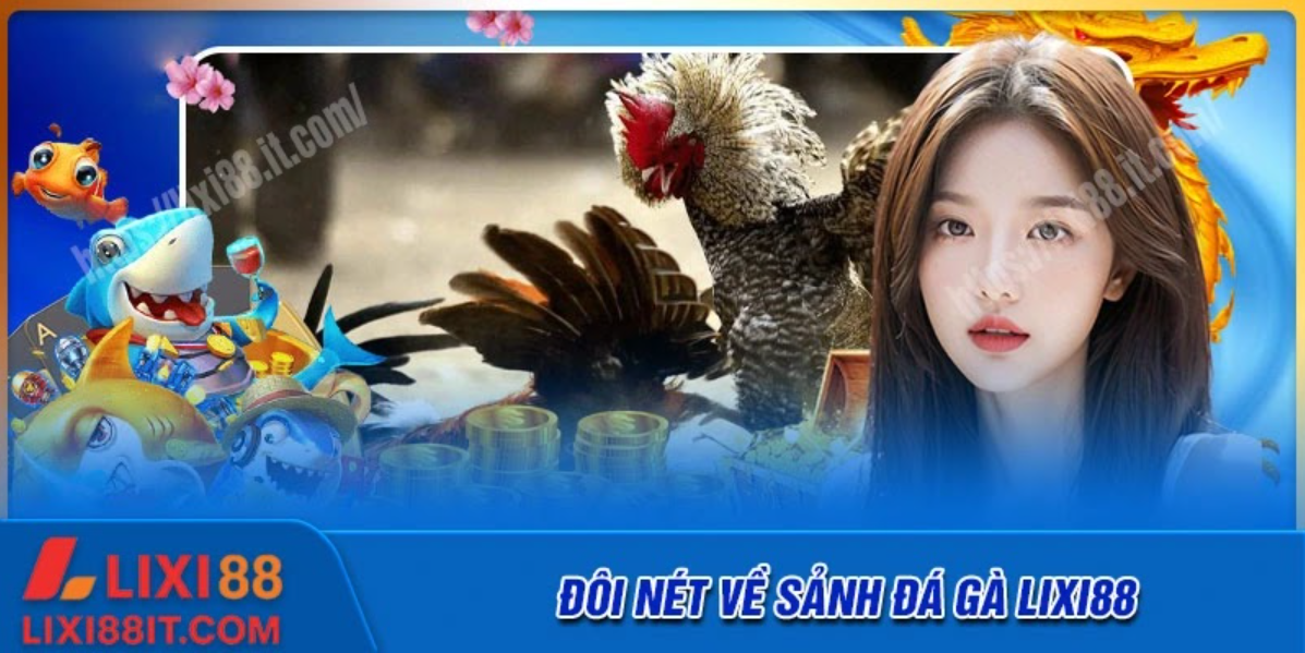 Đôi nét về sảnh đá gà Lixi88 kịch tính
