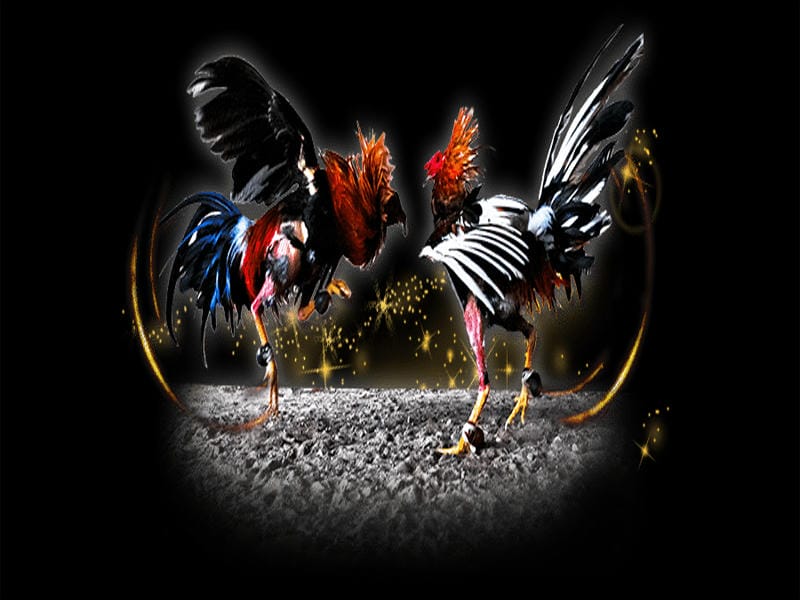 Mẹo Hay Từ Người Chơi Kinh Nghiệm Tại Fly88