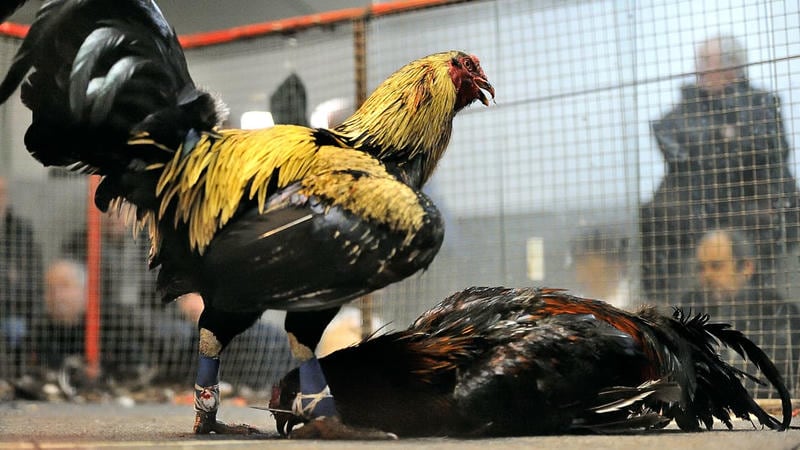 Ưu Điểm Độc Quyền Của Nền Tảng 33win