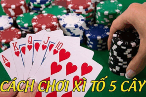 Hướng Dẫn Chi Tiết Cho Người Mới Cách Chơi Xì Tố 5 Cây Tại 8XBET 