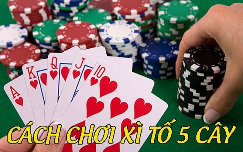 Hướng dẫn cách chơi xì tố 5 cây tại 8XBET