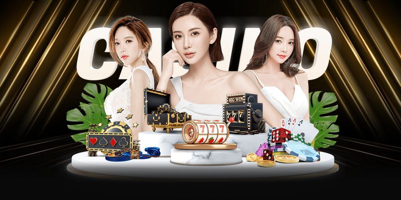 Các nhà cung cấp hàng đầu