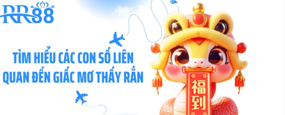 Bảng tra nhanh các tình huống rắn xuất hiện và gợi ý ứng xử mềm mại