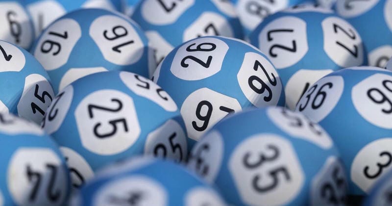 Bí Kíp Nuôi Khung 3 Ngày Tối Ưu Nhất 