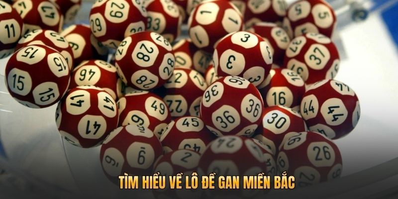 Tìm hiểu về lô đề gan miền Bắc