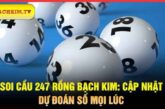 Soi Cầu 247 Rồng Bạch Kim: Cập Nhật Dự Đoán Số Mọi Lúc