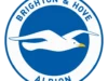 Carlos Baleba cỗ máy quét tuyến giữa của Brighton năm 2026