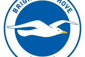 Carlos Baleba cỗ máy quét tuyến giữa của Brighton năm 2026
