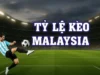 Tỷ Lệ Kèo Malaysia Và Cách Đọc Tỷ Lệ Tối Ưu Cho Người Mới