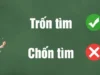 Hướng dẫn cách chơi trò chơi trốn tìm dân gian chi tiết nhất